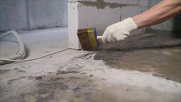 Top rated local Waterproofing specialists in Anderson, SC